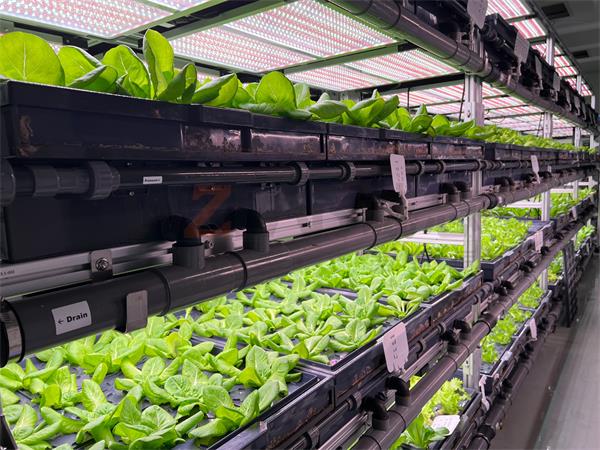 1750671903eb9574 1750671903eb9574