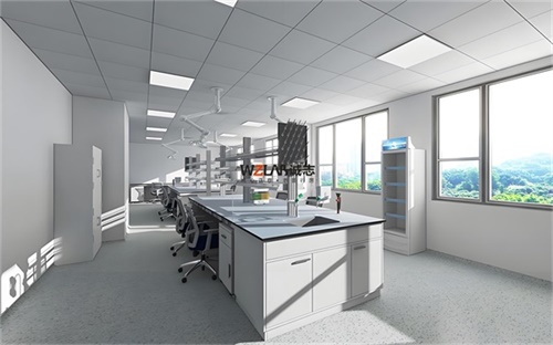 食品微生物实验室建设方案 食品微生物实验室建设方案