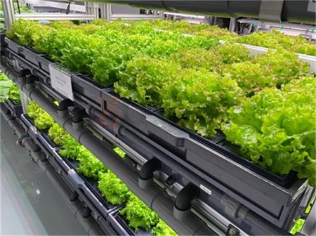智慧农业实验室植物工厂搭建方案1