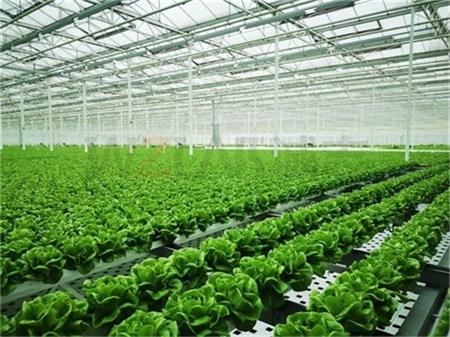 智慧农业实验室植物工厂搭建方案2