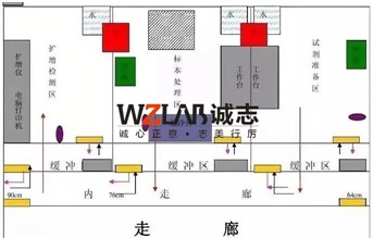 三甲医院PCR实验室建设方案1